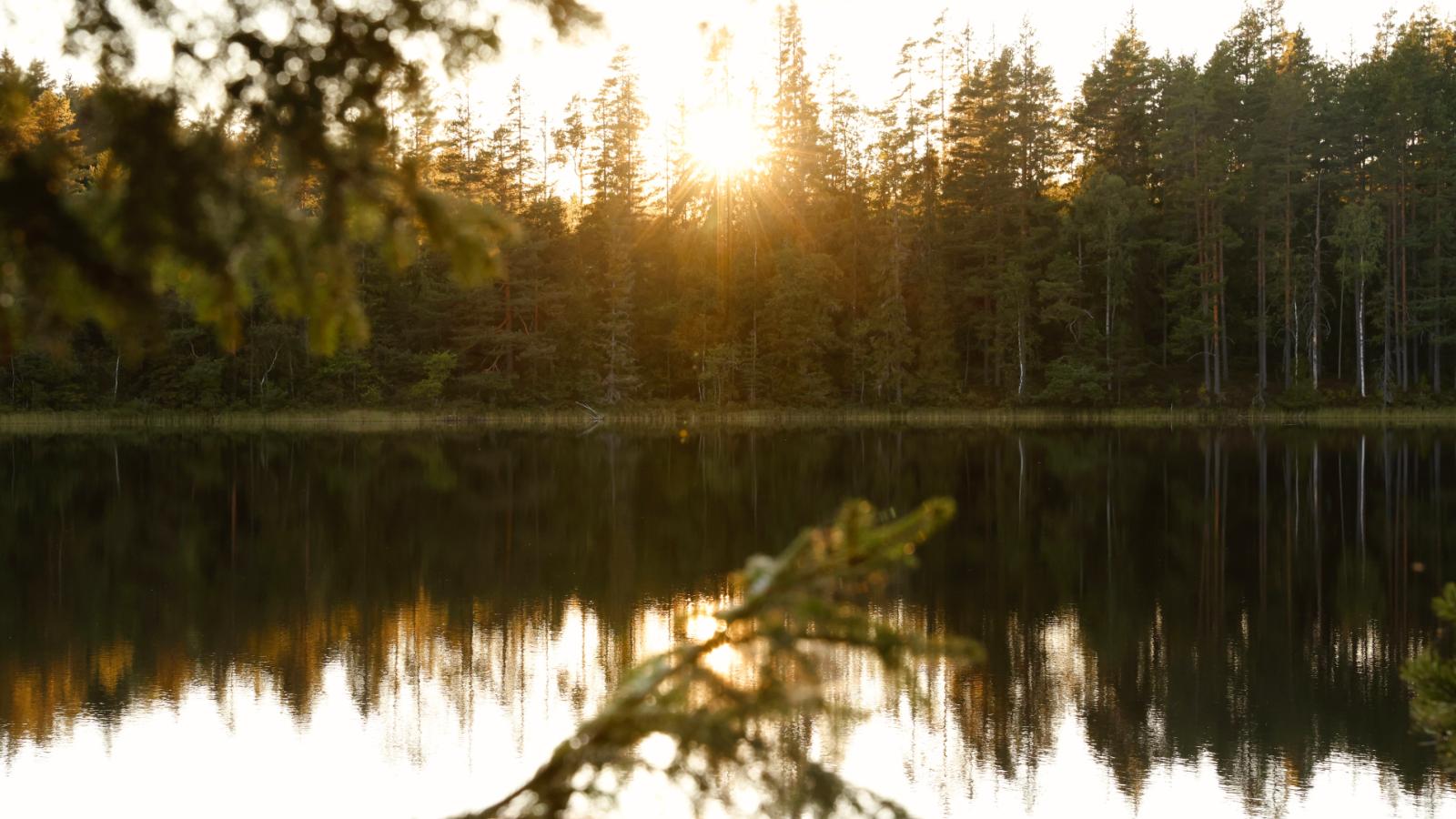 Lillsjön