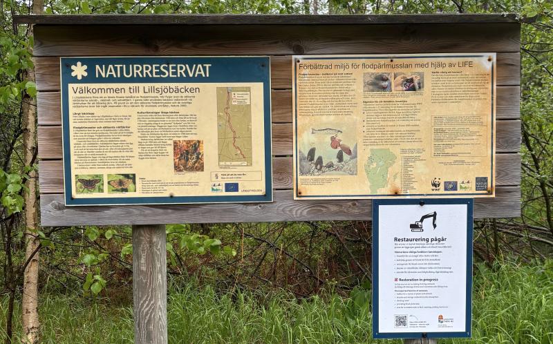 Restuaurering av våtmark vid Lillsjöbäckens naturreservat